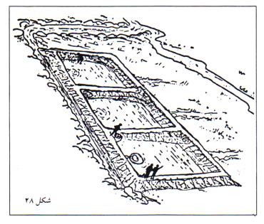 همکاری پرورش‌دهندگان ماهی