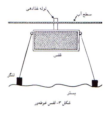 قفس ماهی غوطه ور