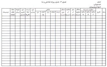 غذادهی روزانه ماهی