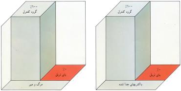 کنترل بیماری توسط بای تریل