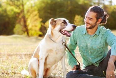 درمان افسردگی با سگ