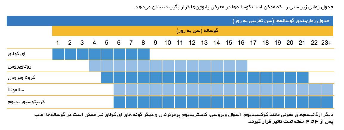 جدول زمانی بروز بیماری و عفونت در گوساله