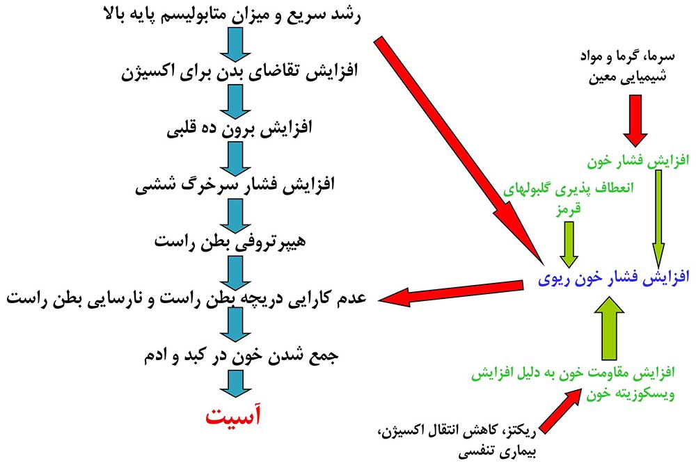 نسانه های بیماری آسیت