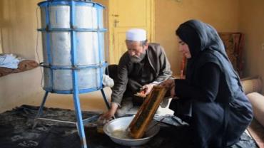 تولید عسل در افغانستان
