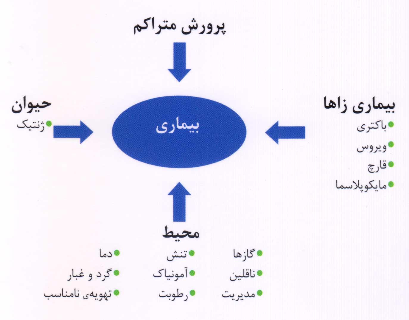 فاکتورهایی که بروز بیماری‌های تنفسی طیور