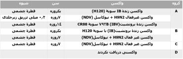 برنامه واکسیناسیون طیور