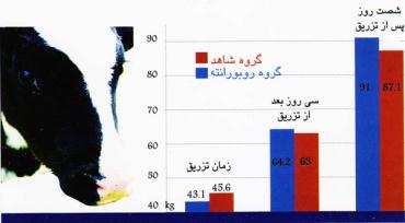 تاثیر روبورانته بر بهبود گوساله‌ها پس از درمان اسهال