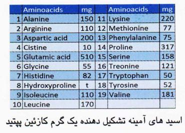 اسیدهای آمینه تشکیل دهنده یک گرم کازئین پتید