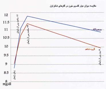 کلسیم دامی