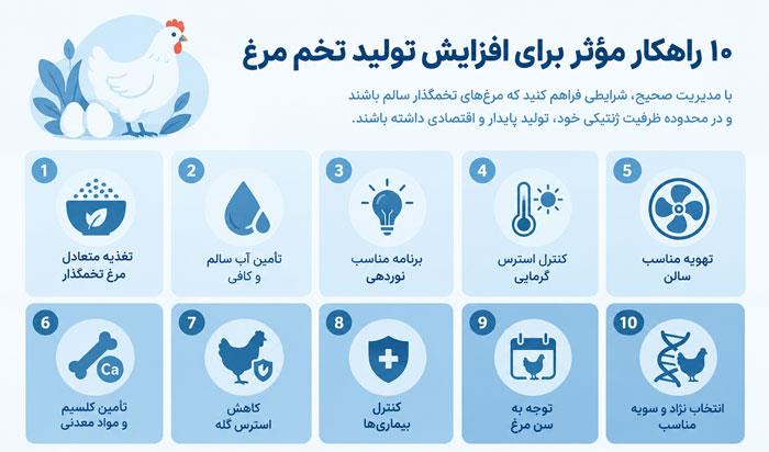 ۱۰ راهکار افزایش تولید تخم مرغ در مرغ‌های تخمگذار