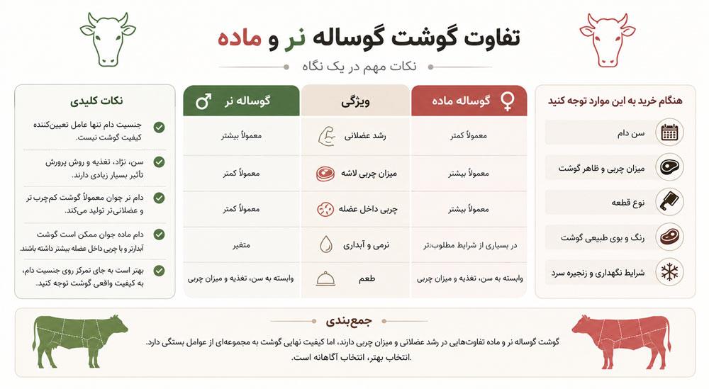 اینفوگرافی تفاوت گوشت گوساله نر و ماده