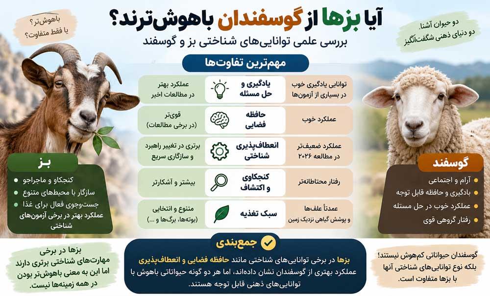اینفوگرافی مقایسه هوش بز و گوسفند
