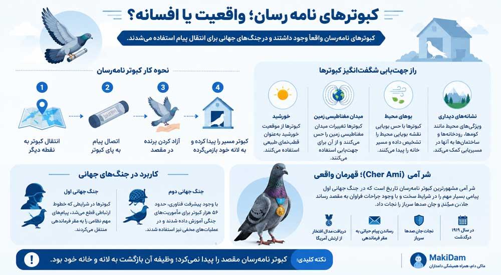 اینفوگرافی کبوتر نامه بر
