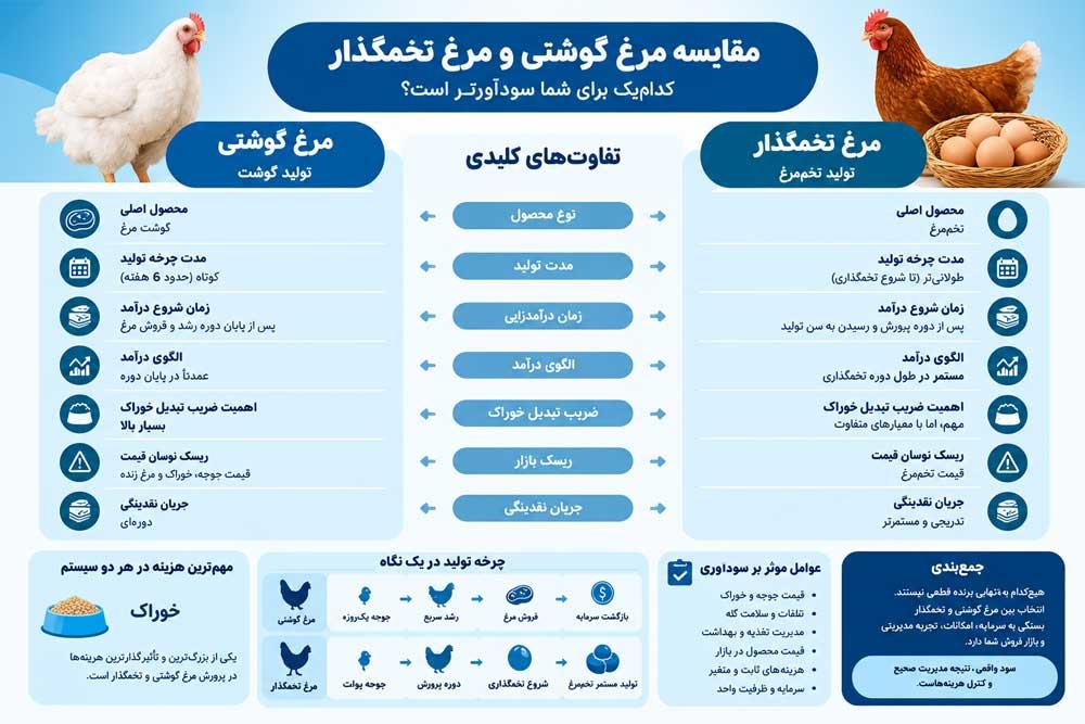 اینفوگرافی سودآوری مرغ گوشتی و تخم گذار