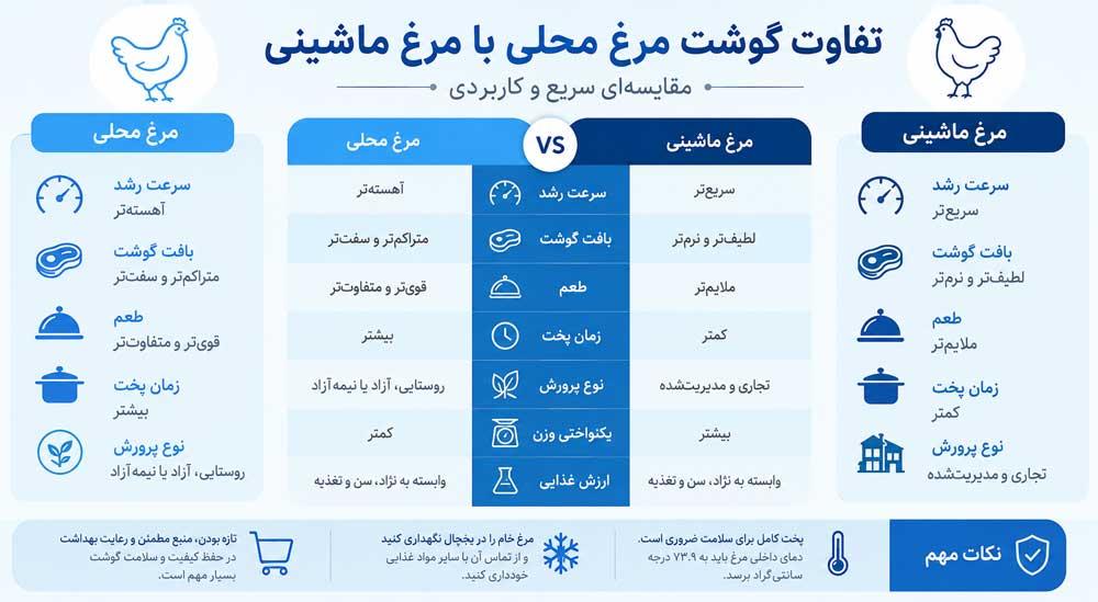 اینفوگرافی تفاوت گوشت مرغ محلی و مرغ ماشینی