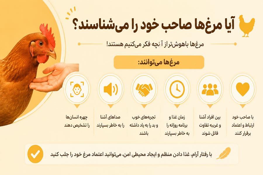 اینفوگرافی نشانههای شناخت صاحب توسط مرغ
