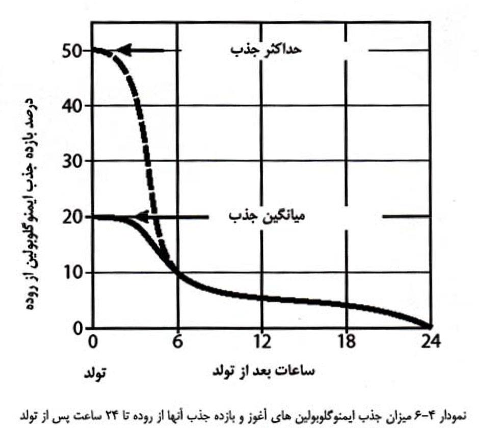 آغوز