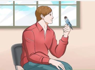 آموزش پرنده