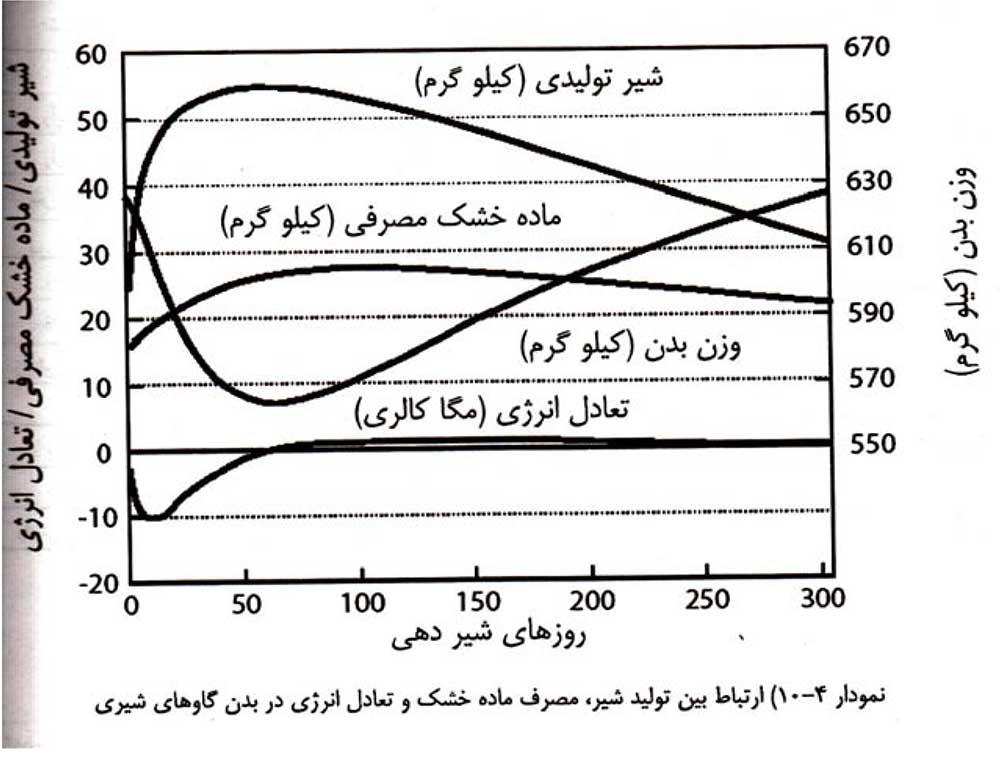 بازده انرژی شیر تولیدی