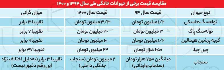 قیمت حیوانات خانگی