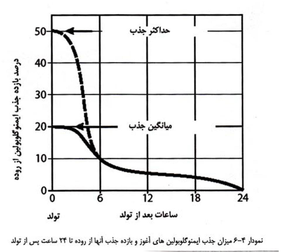 میزان جذب ایمونوگلوبین آغوز