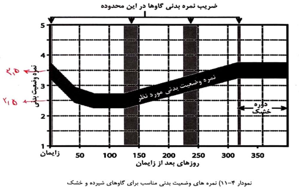 وضعیت بدنی گاوهای خشک