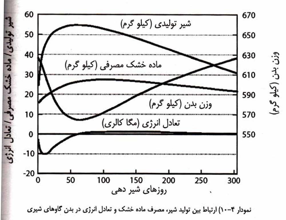 گاو‌های شیرده