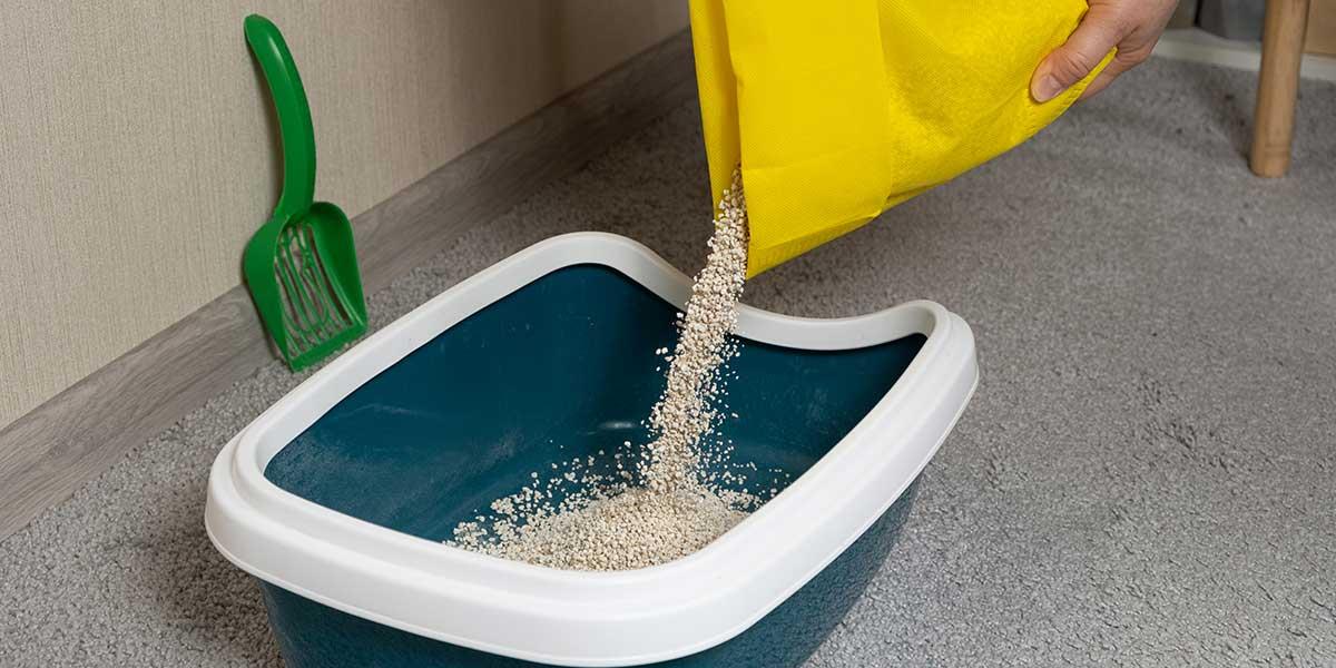 تخلیه-خاک-گربه