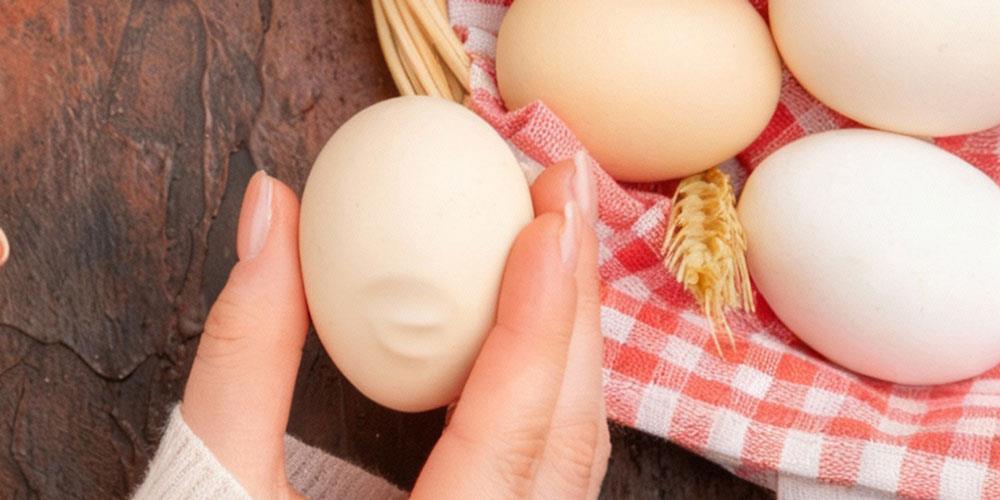 پوسته-تخم-مرغ