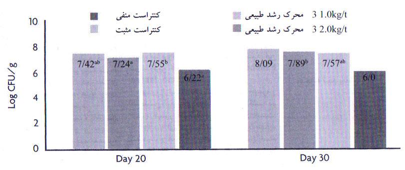 جمعیت E.Coli در دستگاه گوارش در روزهای 20 و 30 در گروه‌های منفی، مثبت و واجد محرک رشد