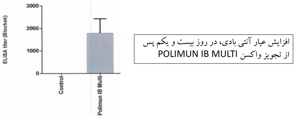 کنترل برونشیت عفونی طیور