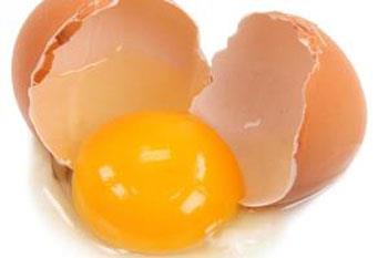 ده نکته که درباره تخم مرغ باید بدانید و شاید نمی دانستید!