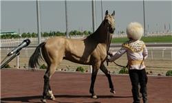 اسب های فاقد تست مشمشه در اماکن تفریحی استفاده نشوند