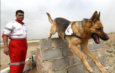 مرگ باهوش ترین سگ نجات ایران