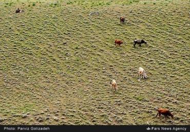 بیماری واگیردار