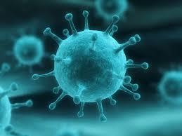 ویروس ها، و باکتری های بیماری زا چگونه پخش می شوند؟ 