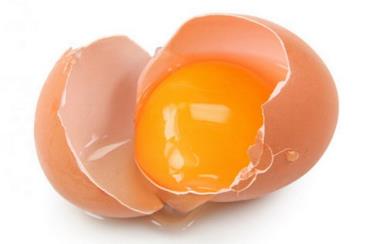 بررسی عوامل موثر بر کیفیت در تولید تخم مرغ