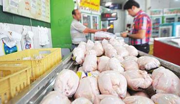 طرح کاهش سن و وزن کشتار مرغ گوشتی در اردبیل اجرا شد