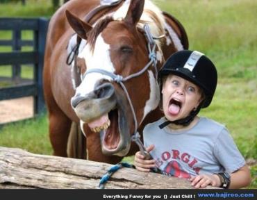 اسب ها و انسان ها از حالات چهره یکسانی برای بیان احساسات استفاده می کنند