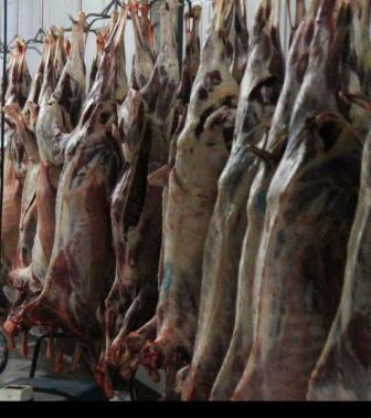 سازمان دامپزشکی اعلام کرد: واردات گوشت از قطب جنوب مورد تایید دامپزشکی نیست.
