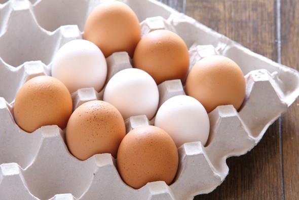 صادرات تخم مرغ ایران به صفر می رسد!