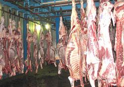 واردات گوشت گوسفند متوقف شد/ کنترل 95 درصد قاچاق دام