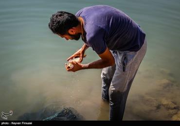 جشنواره ماهیگیری