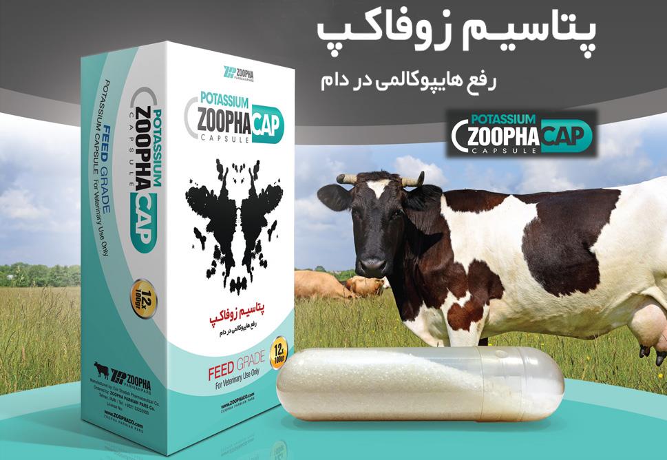 پتاسیم زوفاکپ