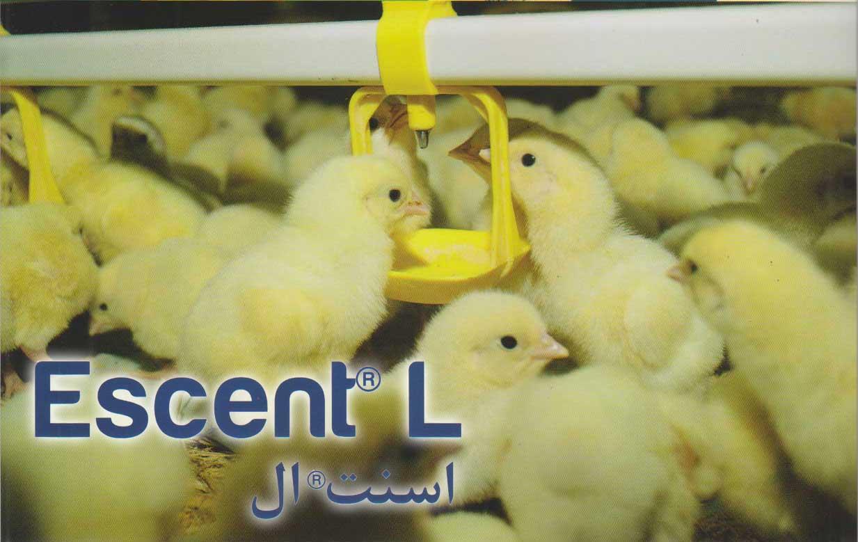 اسنت ال (Escent L)