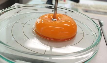 عوامل مهم برای مدیریت کیفیت درون تخم‌مرغ