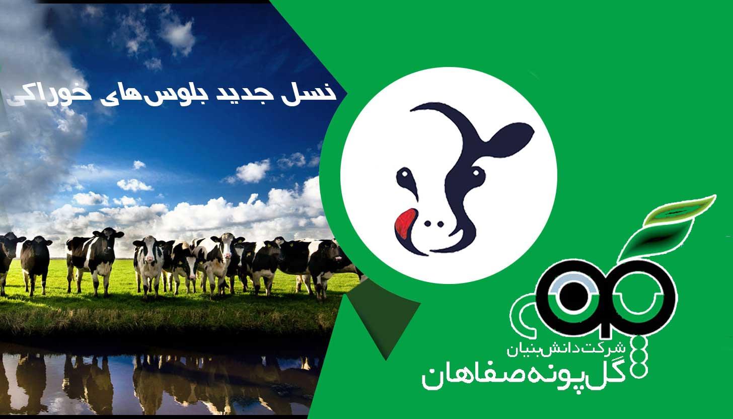 شرکت دانش بنیان گل پونه صفاهان