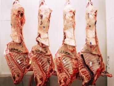 واردکنندگان هر روز 17 تن گوشت خارجی می خرند