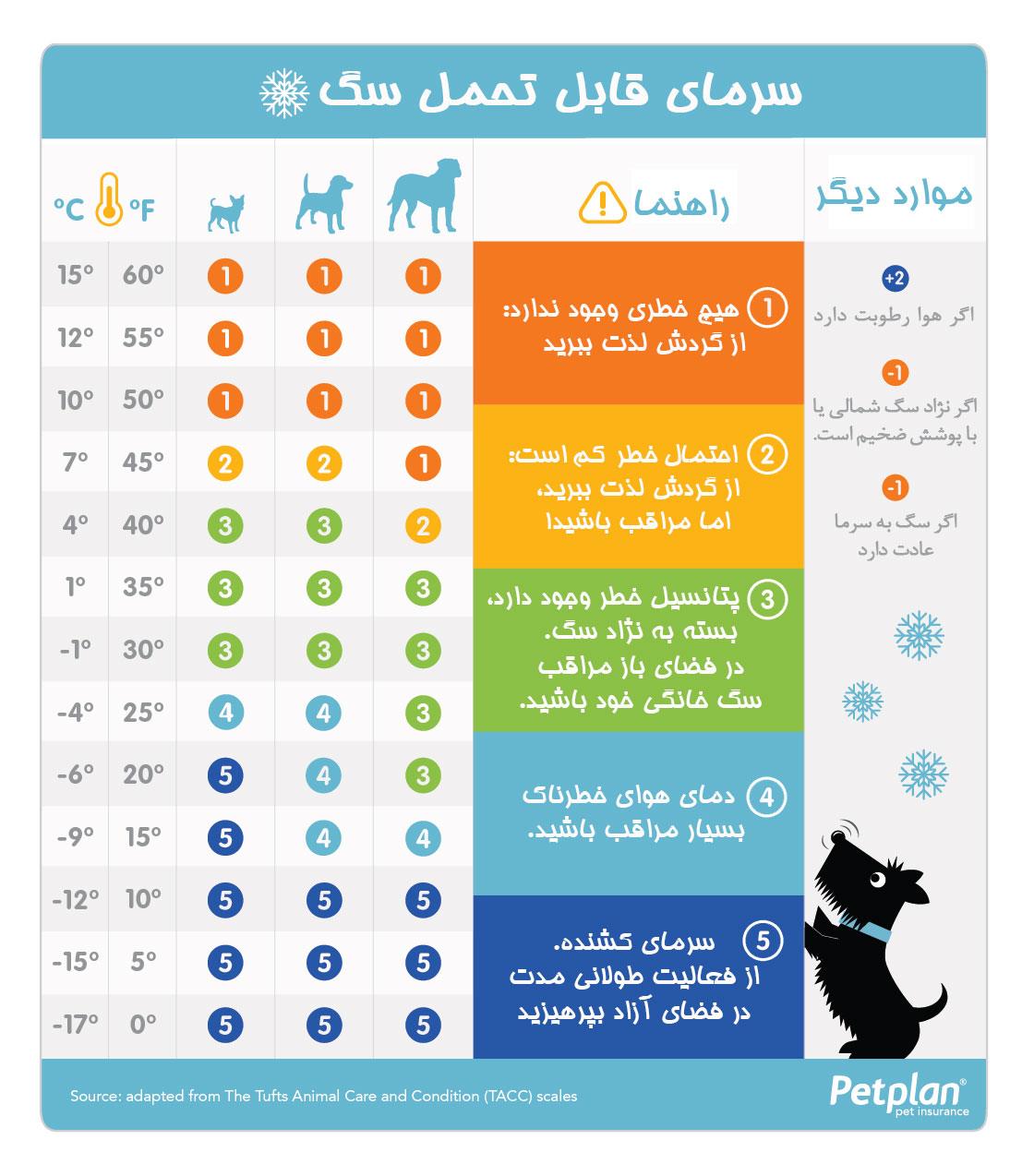 سگ‌ها تا چه حد سرما را تحمل می‌کنند؟