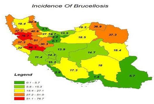 مهم‌ترین علل افزایش بروز بیماری بروسلوز انسانی در کشور